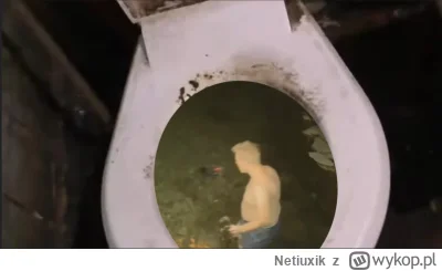 Netiuxik - Tymczasem Tiger Benzo dla ukojenia nerwów postanowił wybrać się na morsowa...