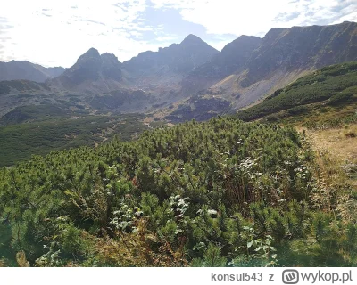 konsul543 - Koljedzy pozdro że spierdotriupu, ja w górach chowam siebrpzed szachedami...