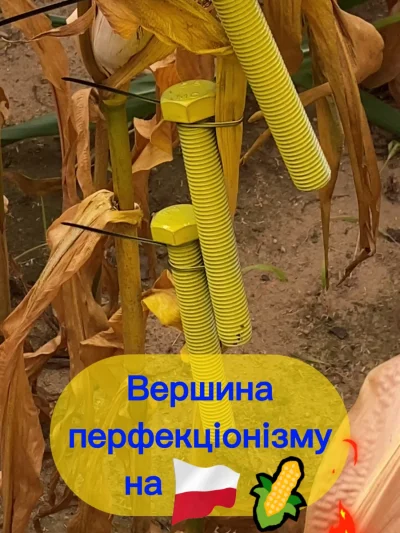 sto_pro - Moderacja oczywiście usunęła mój wcześniejszy post więc wstawiam jeszcze ra...