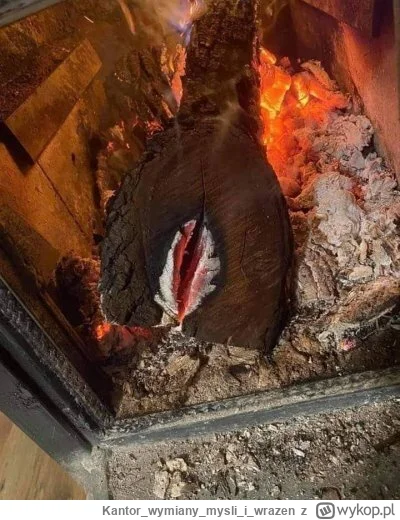 Kantorwymianymysliiwrazen - Dzisiaj to naprawdę jest zimna noc.🤞🌡🔥
#jesien #ogrzew...