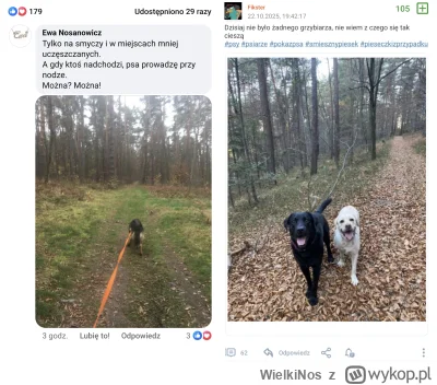 WielkiNos - Wiele się na wykopie pojawia komentarzy i postów o hurr durr wrzucanie ws...