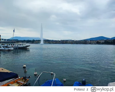 Polasz - Panie @Gacrux: ja tu w Genewie konta powiększam żeby się zmieniły racuny po ...