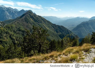 SzaloneWalizki - Cześć, 

Na koniec świąt zapraszamy na pełną ciekawostek rozmowę z K...