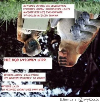 DJtomex - zsɐuoʞǝzɹd ǝzɹnʞs ɾǝusɐłʍ ɐu ęᴉs oʇ zsǝᴉuśoɹop ʎɯɹoɟ ɾǝʍouoᴉd ǝᴉuɐʍoɥɔɐz żᴉ...