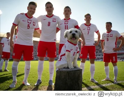 niemczarek_owiecki - @michalxd21: jprd co jest z tym ai nie tak, że wstawia dwa orzeł...