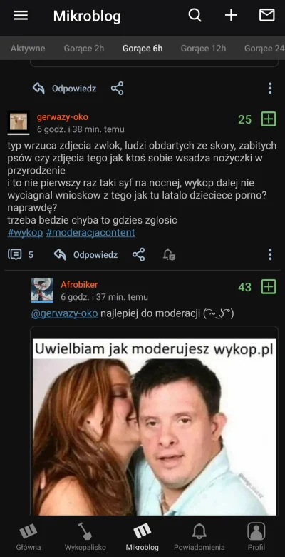 JaTuTylkoNaMoment - @gerwazy-oko usunąłeś czy spadło?

#wykop