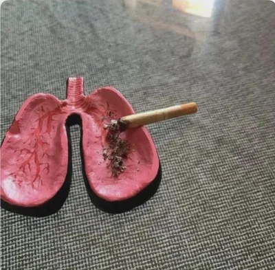 cheeseandonion - #zzr #