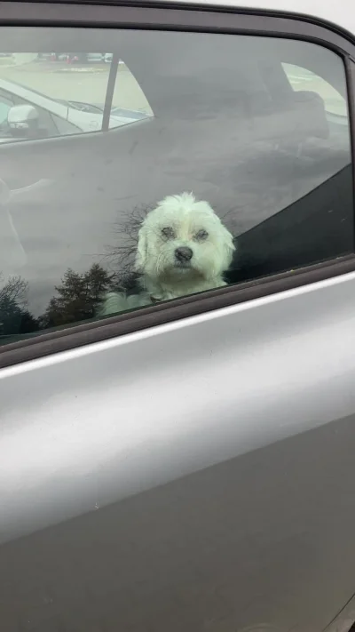 Polozna504 - żeby pieskowi nie było zimno ( ͡° ͜ʖ ͡°)

#psiarze #polskiedrogi