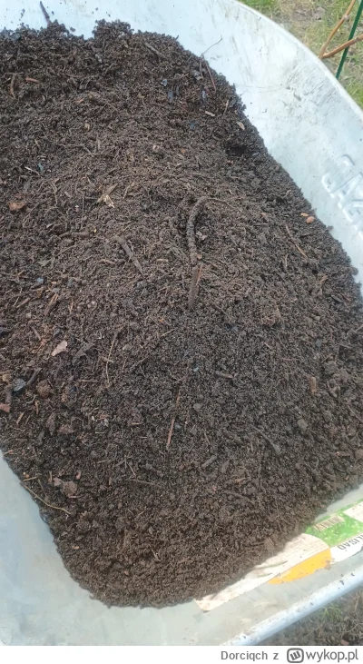Dorciqch - #ogrodnictwo z ogrodniczych niusów to sobie komposcik przesiałam i do grzą...