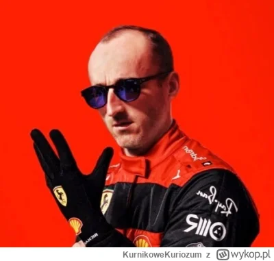 KurnikoweKuriozum - @irastaman: ...tom renkom ¯\(ツ)/¯