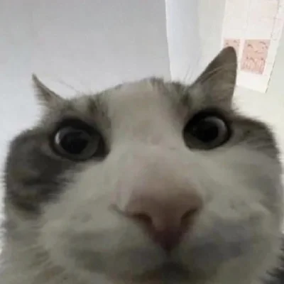 Timer555 - @krystianops3 jes