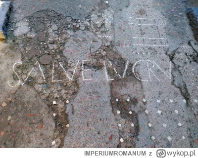 IMPERIUMROMANUM - Mozaika z napisem SALVE LUCRU

Jeden z domów rzymskich, z I wieku p...