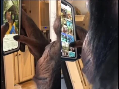 9ada66a7ca8bf7e3 - P--------e macie ( ͡º ͜ʖ͡º)