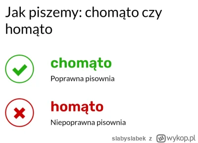 slabyslabek - @paliwoda chomąto, a nie homąto, chamie z małym siurkiem.