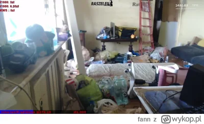 fann - #danielmagical