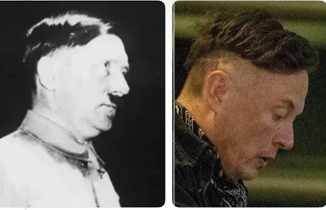 Zoriuszka - #elonmusk #ocieplaniewizerunkuadolfahitlera #humorobrazkowy #usa