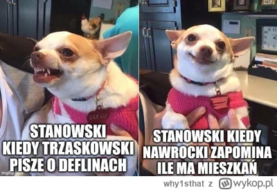 why1sthat - #kanalzero #polityka #debata