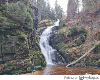 Polasz - Jest pięknie ( ͡° ͜ʖ ͡°)