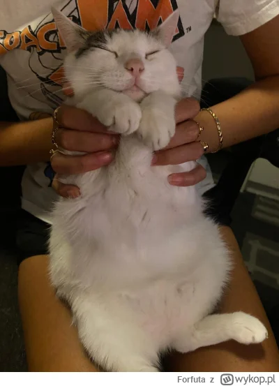 F.....a - #pokazkota #spaslak Grubas zadowolon