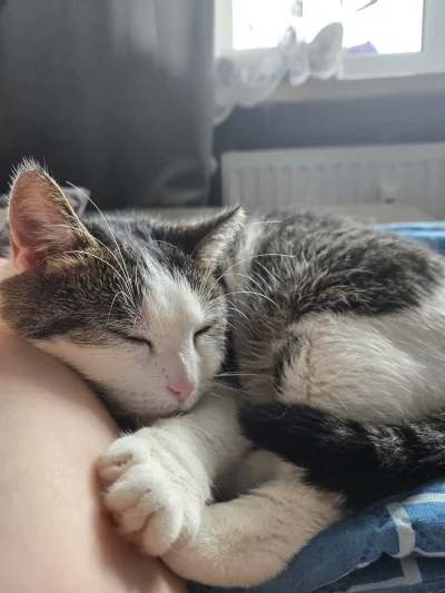 Solsith - @fuurin: masz drukarkę do Kropek?(｡◕‿‿◕｡)