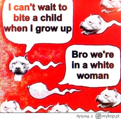 flytying - #ban #powrutcontent #moderacjacontent #psiegryw #psiecko #przegryw 

Wraca...