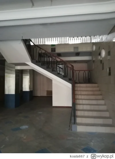 koala667 - @koala667: