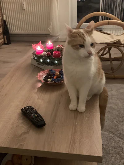 Lujdziarski - @Lujdziarski: