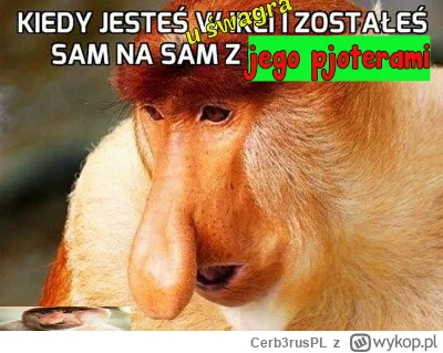 Cerb3rusPL - @pawello321: