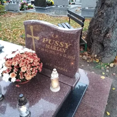 tomwick55 - #przegryw #blackpill #cmentarz #polska