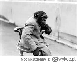 NocnikDzienny - @Kurczak2022: Panie, nie obrażej pan szympansów dobre?