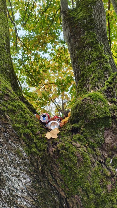 vieniasn - stopniowo odbudowywana jest jedna z moich ulubionych instalacji artystyczn...