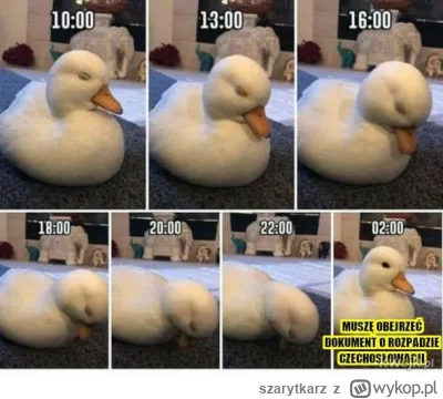 szarytkarz - Ja teraz ( ͡° ͜ʖ ͡°)

#heheszki #humorobrazkowy