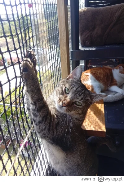 JWP1 - @vvn81 Dzięki!  Czwarty - najmłodszy rozrabiaka : Garlock niszczyciel światów ...