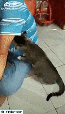 wfyokyga - Zapaszki spod paszki