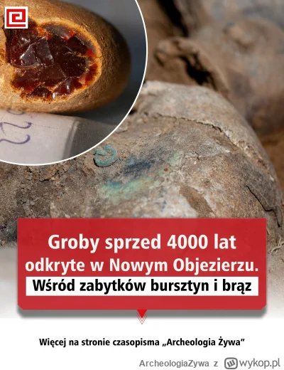 ArcheologiaZywa - Groby sprzed 4000 lat w Nowym Objezierzu. Zabytki zdradzają dalekie...