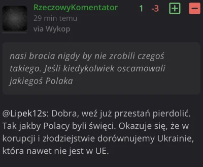 USSCallisto - W neuropejskim świecie Polska jest równie skorumpowana co Ukraina. ( ͡°...