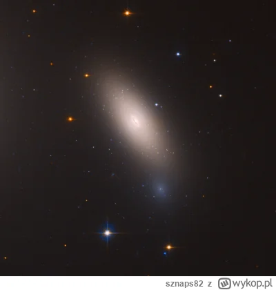 sznaps82 - Wolna od ciemnej materii galaktyka NGC 1277, znajdująca się w pobliżu cent...