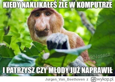 JurgenVanBeethoven - #heheszki #nosaczsundajski