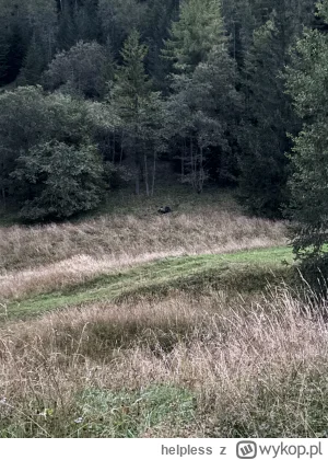 helpless - @Tylkotunasraciszczurapuscic1: ja już wiele razy byłem i w końcu udało mi ...