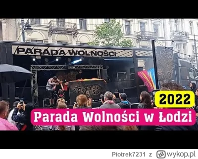 Piotrek7231 - Parada z zeszłego roku no sami odklejeńcy.