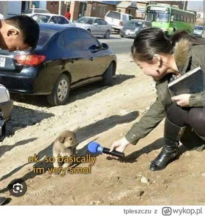 tpleszczu - @nykkjen