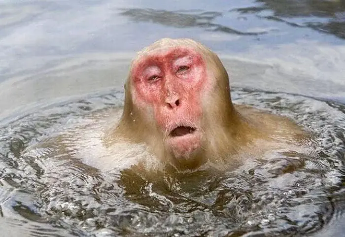 wfyokyga - Tak właśnie się czuje