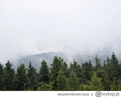 wspomnienieciszy - @Anjay: Fakt jak sie ma 16-kilogramowy plecak to spoko opcja. Gorz...