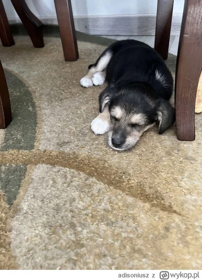 adisoniusz - A taka mała kulka była