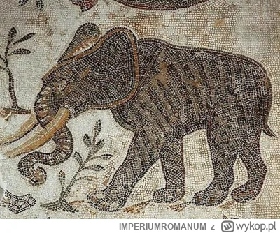 IMPERIUMROMANUM - Tragiczne igrzyska słoni

Słonie były egzotycznymi zwierzętami, któ...