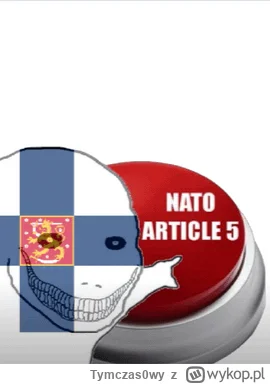 Tymczas0wy - > Fińska polityk zasugerowała, że jeśli za uszkodzeniem podmorskich kabl...