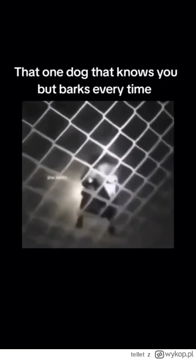 tellet - @Arbuzlele: