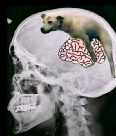 Itslilianka - Ja p------e dostałem właśnie gazem od karyny xD nie trafiła mnie bezpoś...