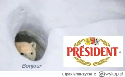 CipakKrulRzycia - #memy #humorobrazkowy #heheszki  #sery
Lubię ten francuski ser. Lek...