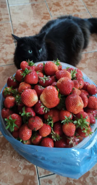 W.....a - Pomóżcie bo robię zadanie na studia.

O co tutaj chodzi, to kitku jest taki...